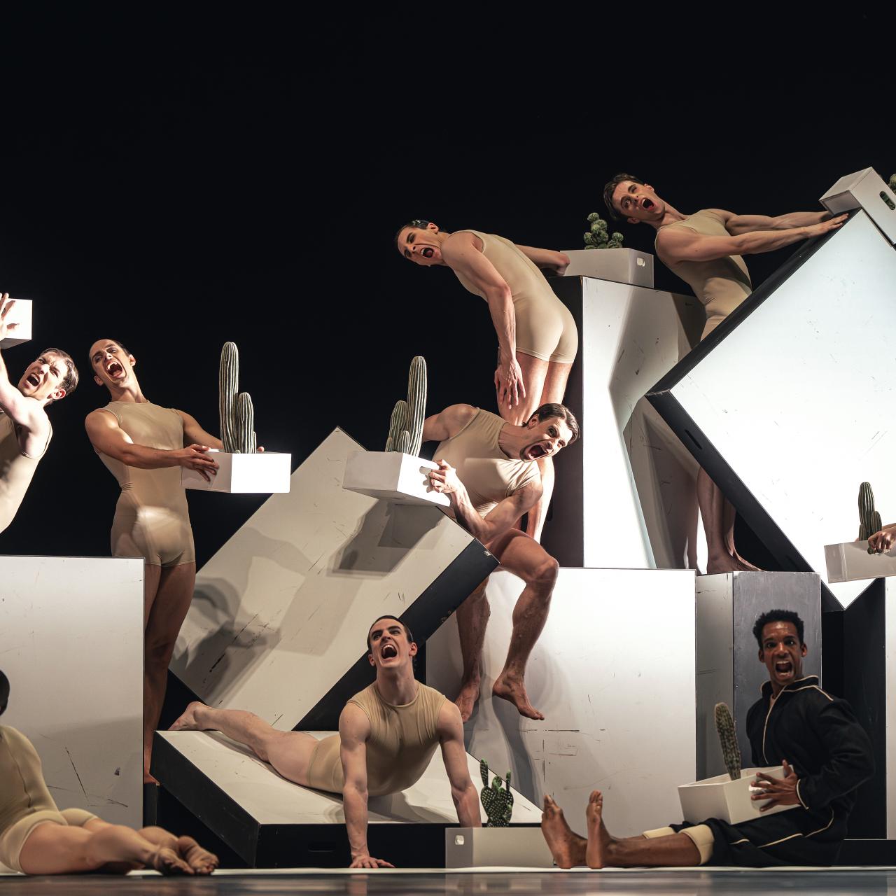 Das Ensemble von Cacti in Common Ground am Bayerischen Staatsballett